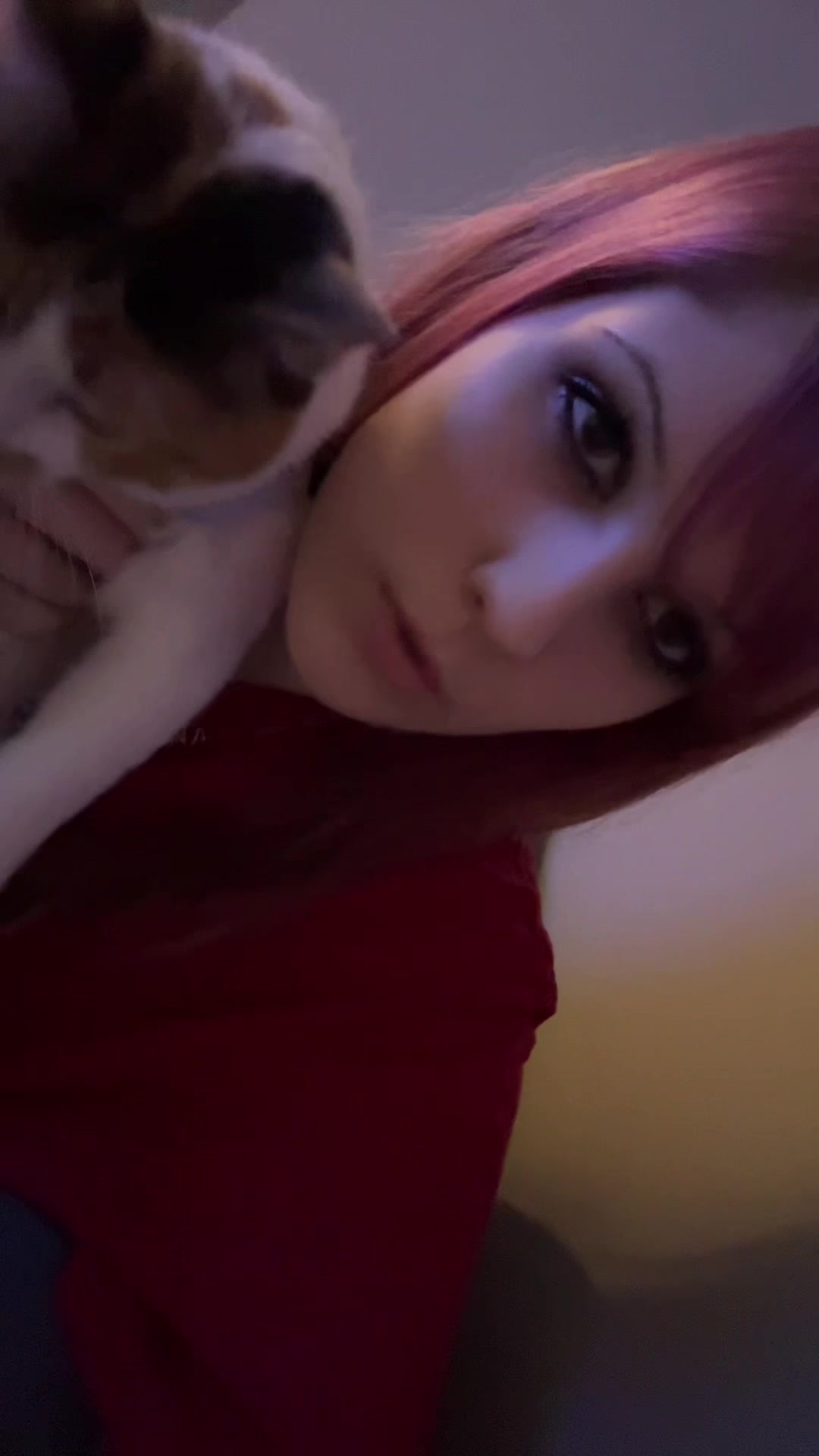 @meowie T^T