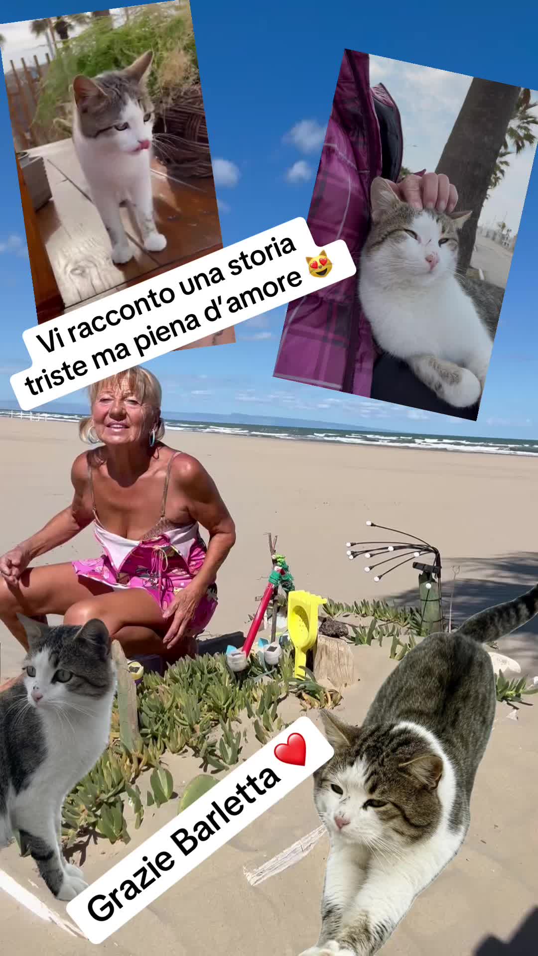 @Lia