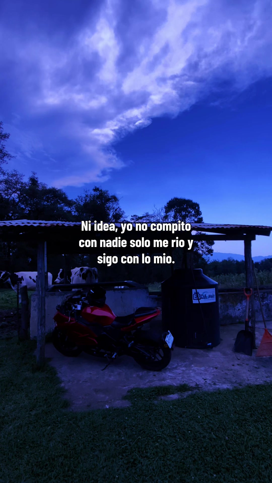 @markitos_mb1
