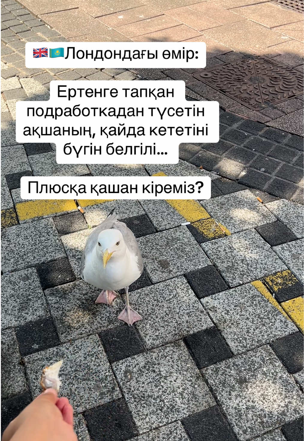 @Balzhan.Sultan🇬🇧🇰🇿🇺🇿