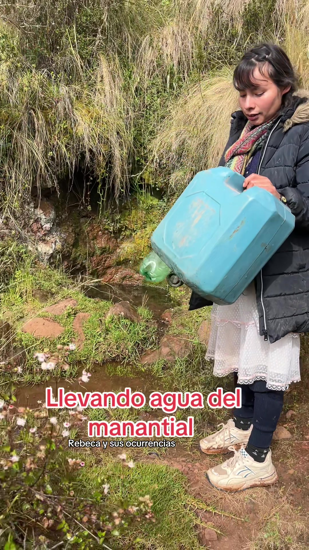 @🐈Rebeca y sus ocurrencias