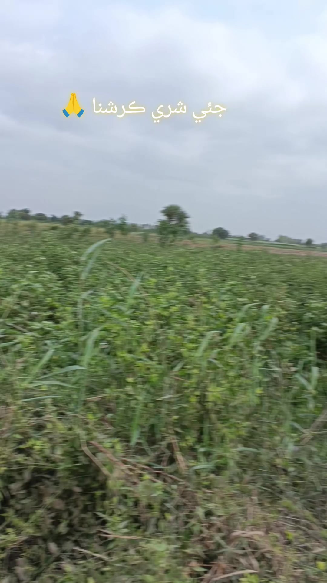 @Mukesh kumar kolhi