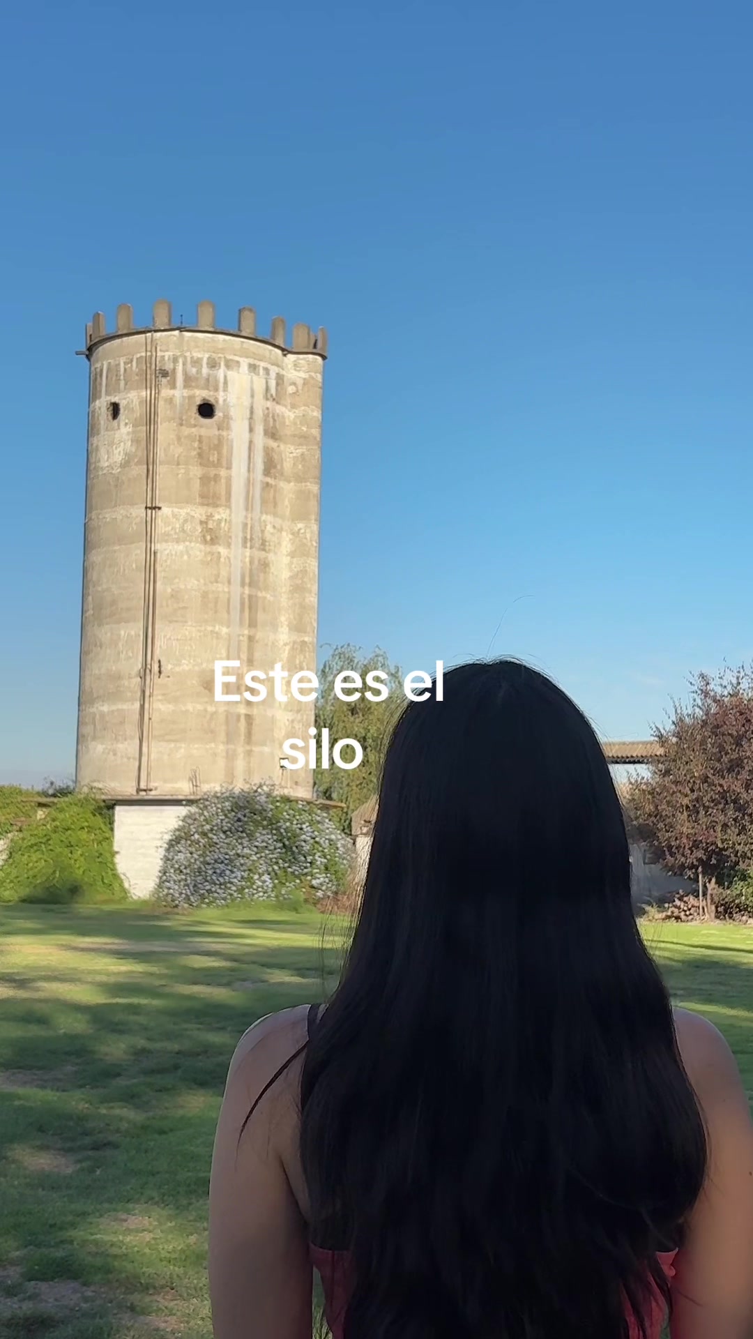 @Javiera Mena