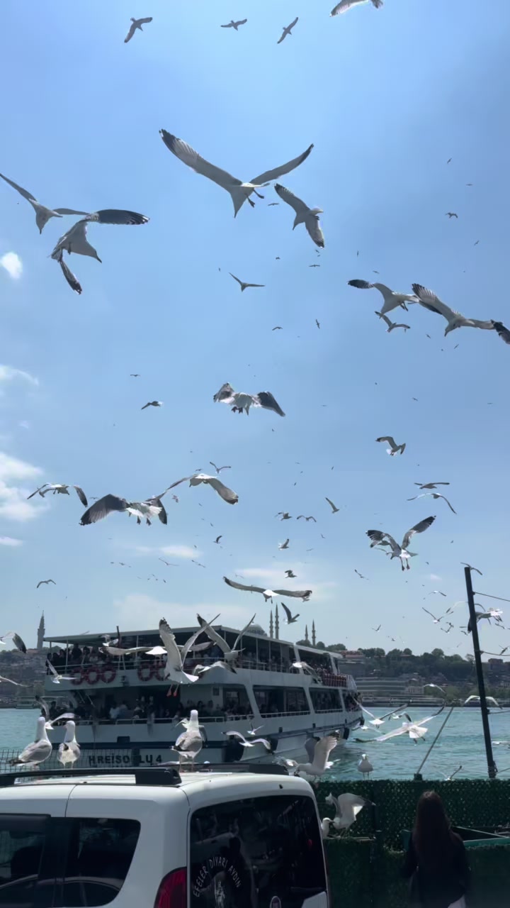 @İstanbul ❤️ T&uuml;rkiye