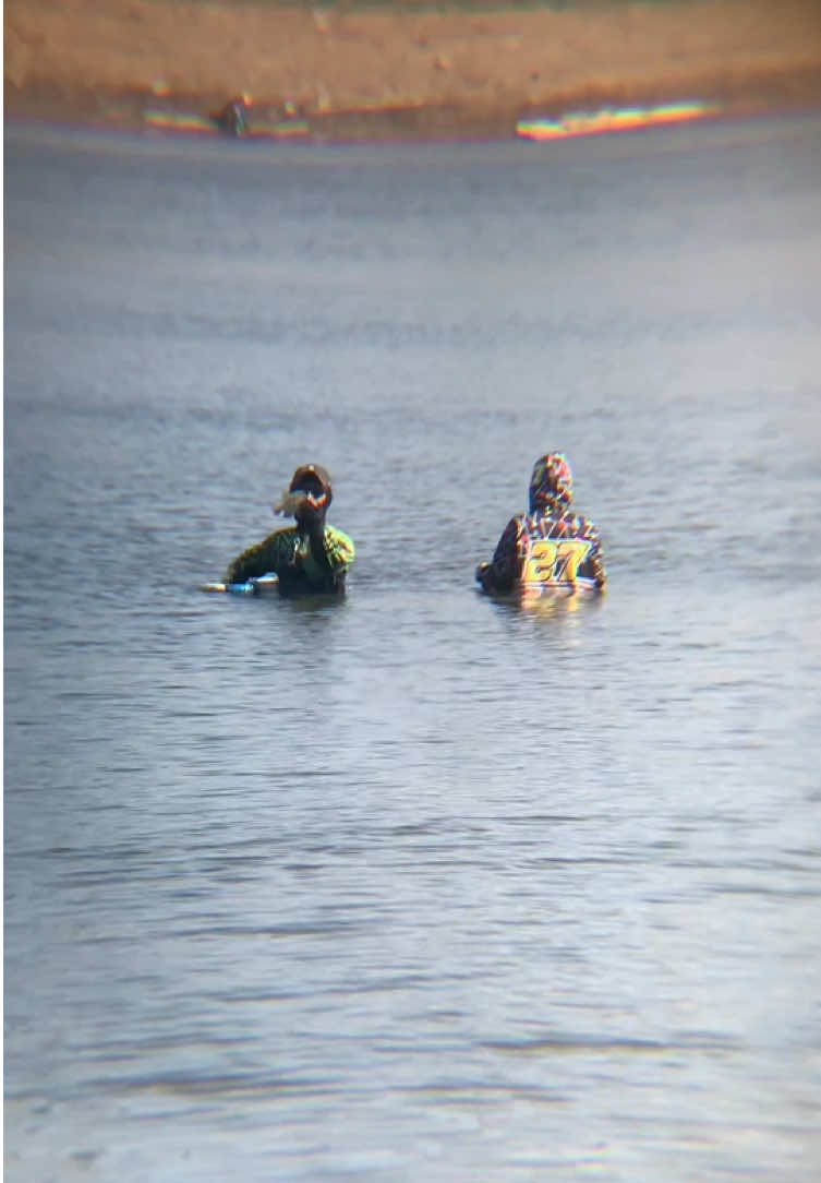@MAFIA FISHING