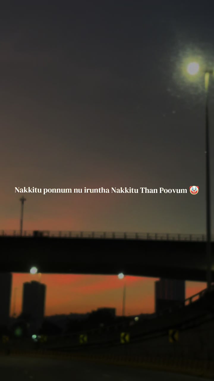 @ѕυηѕнιηє✨