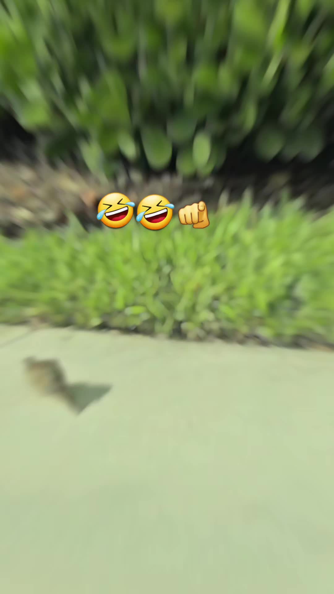 @Gabrielito 502