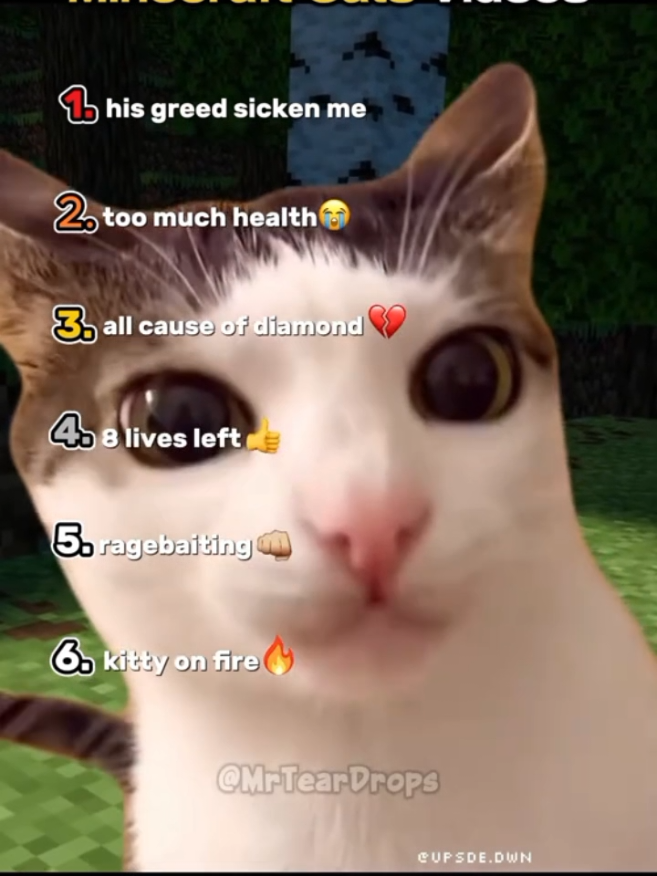 @Garfield