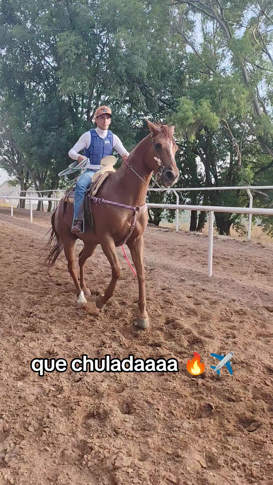 @carriles altos de jalisco🐎