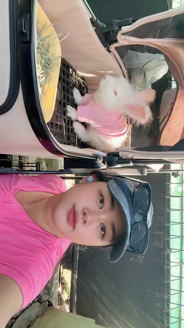 @🐰 Morhpin 🐰