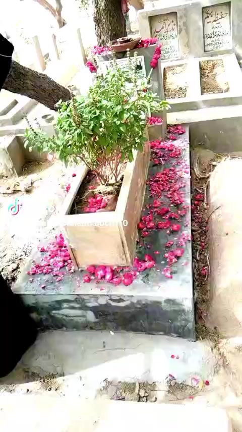 @Tasleem Bano Multan