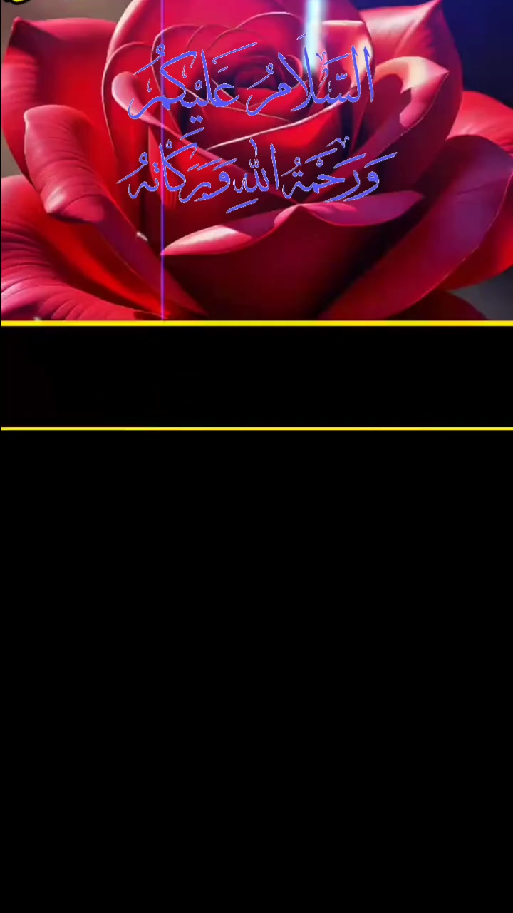 @user1141283861277