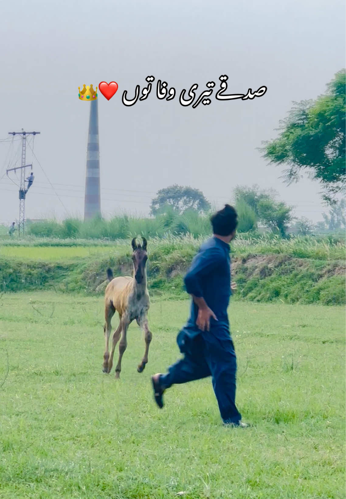 @ملک ابراھیم اعوان⚜️