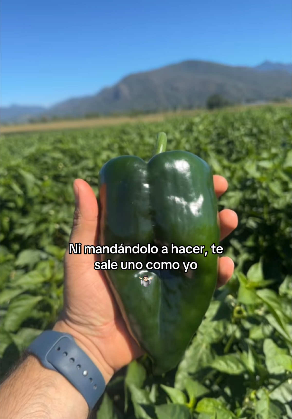 @agroboy_mx
