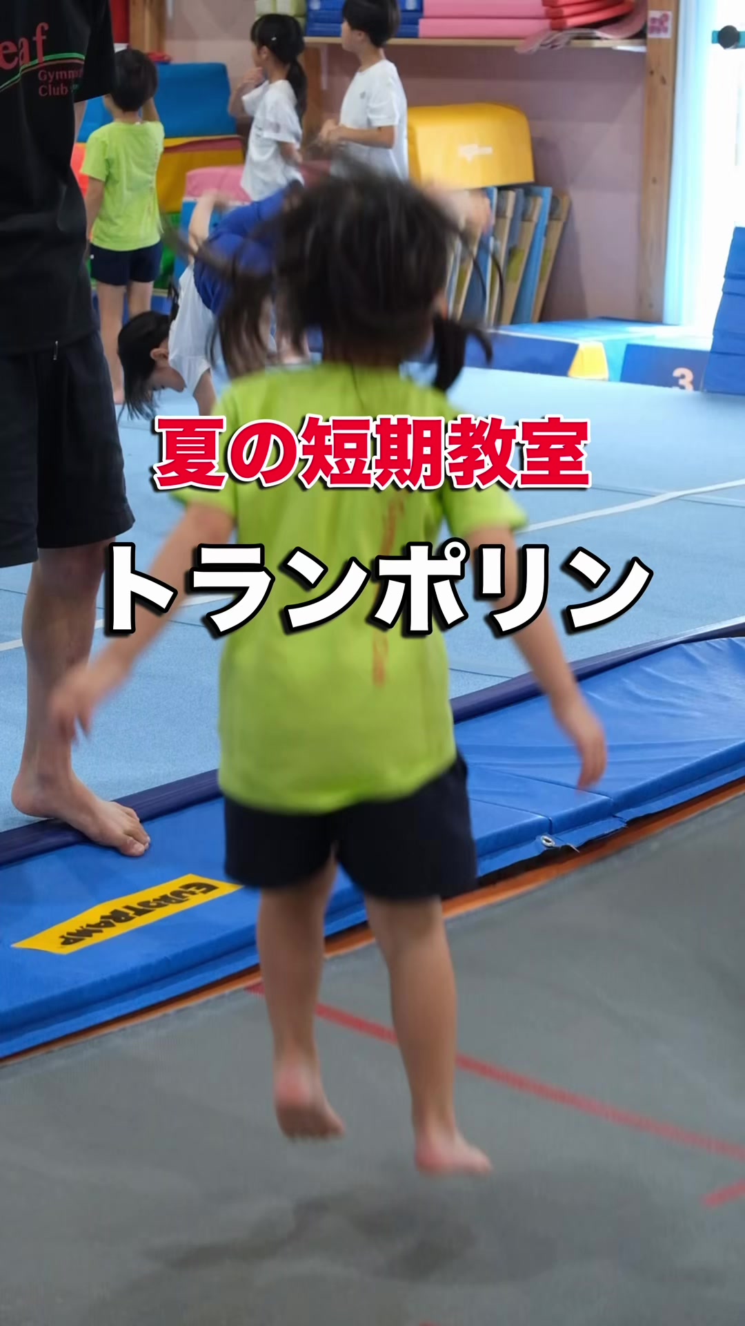@leaf_okazaki