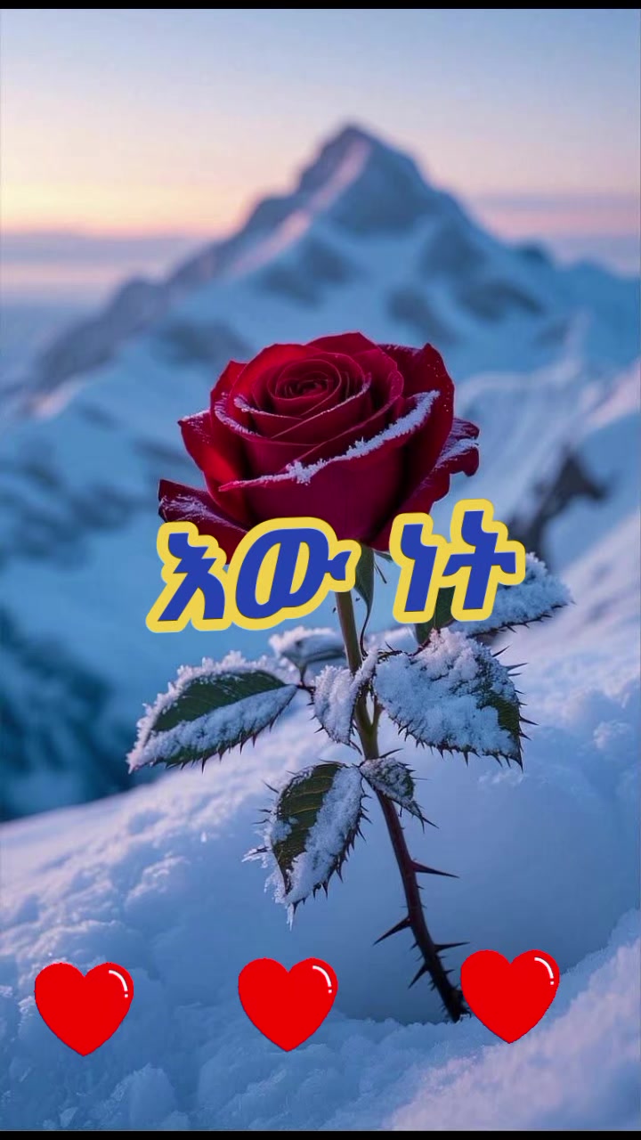 @๐ฅ๐ฅแแ
แญโค แฅแป๐ฅ๐ฅ