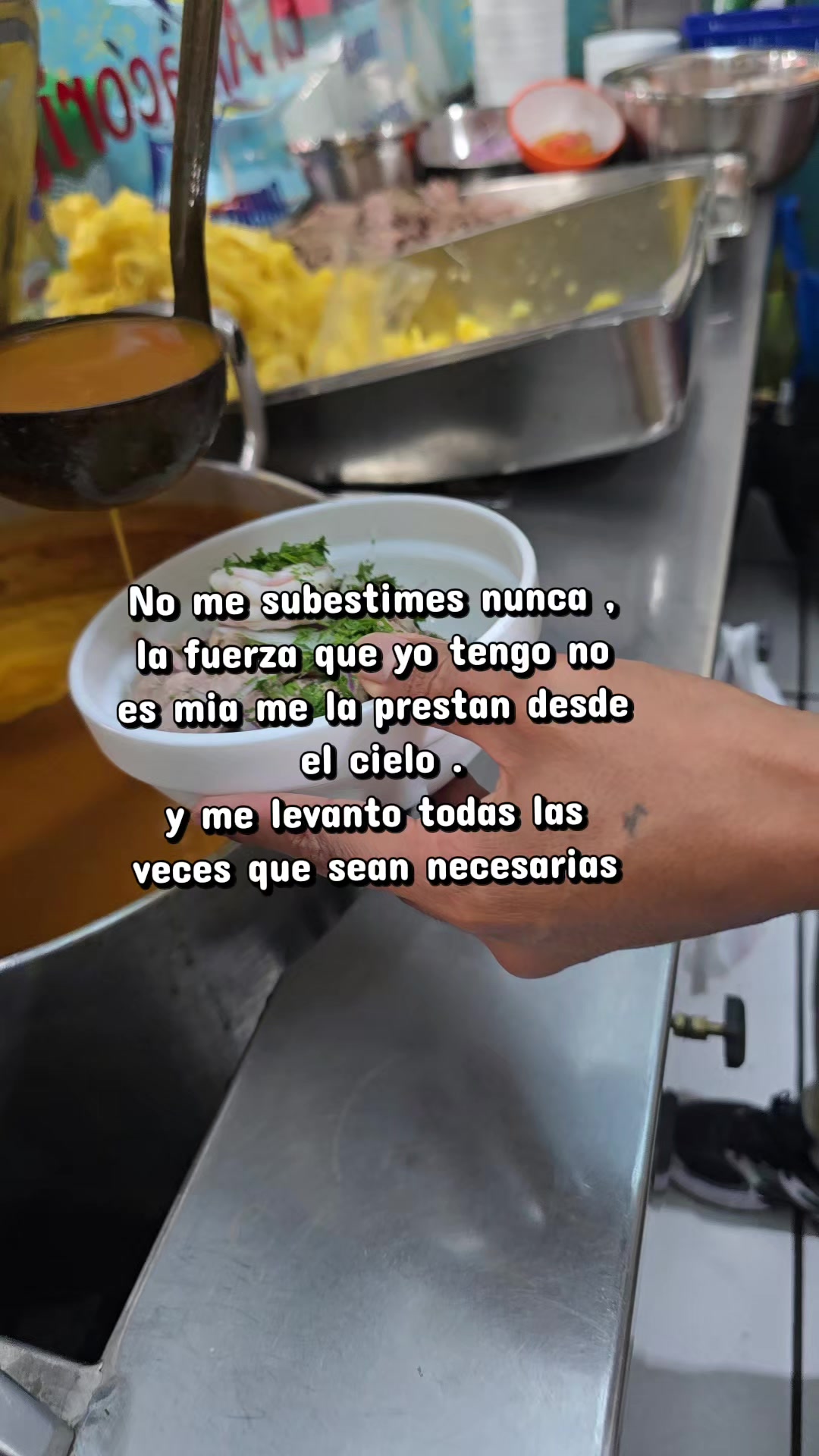 @elalbacoritacevicheria