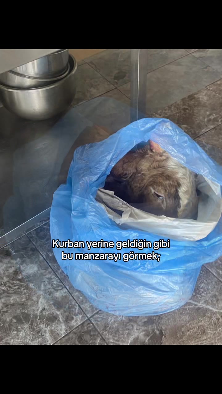 @𝐞𝐬𝐦𝐚