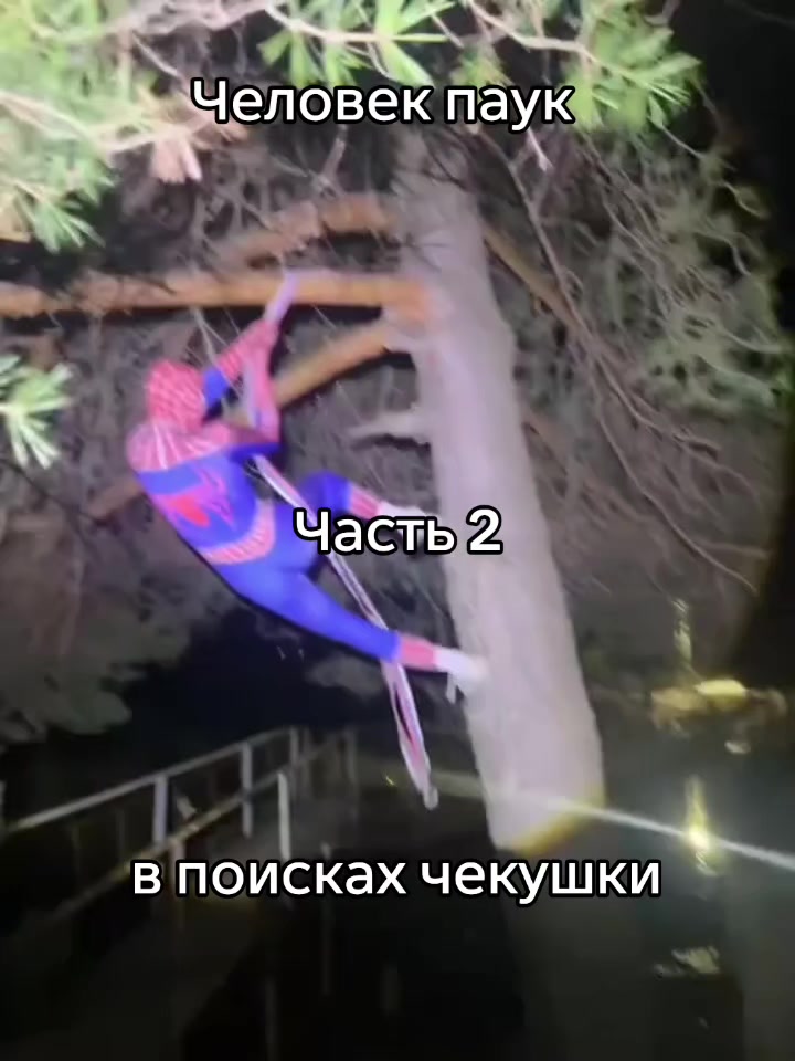 @vladoxss