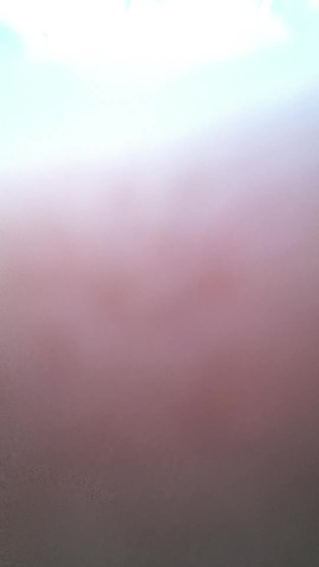 @шмель младший