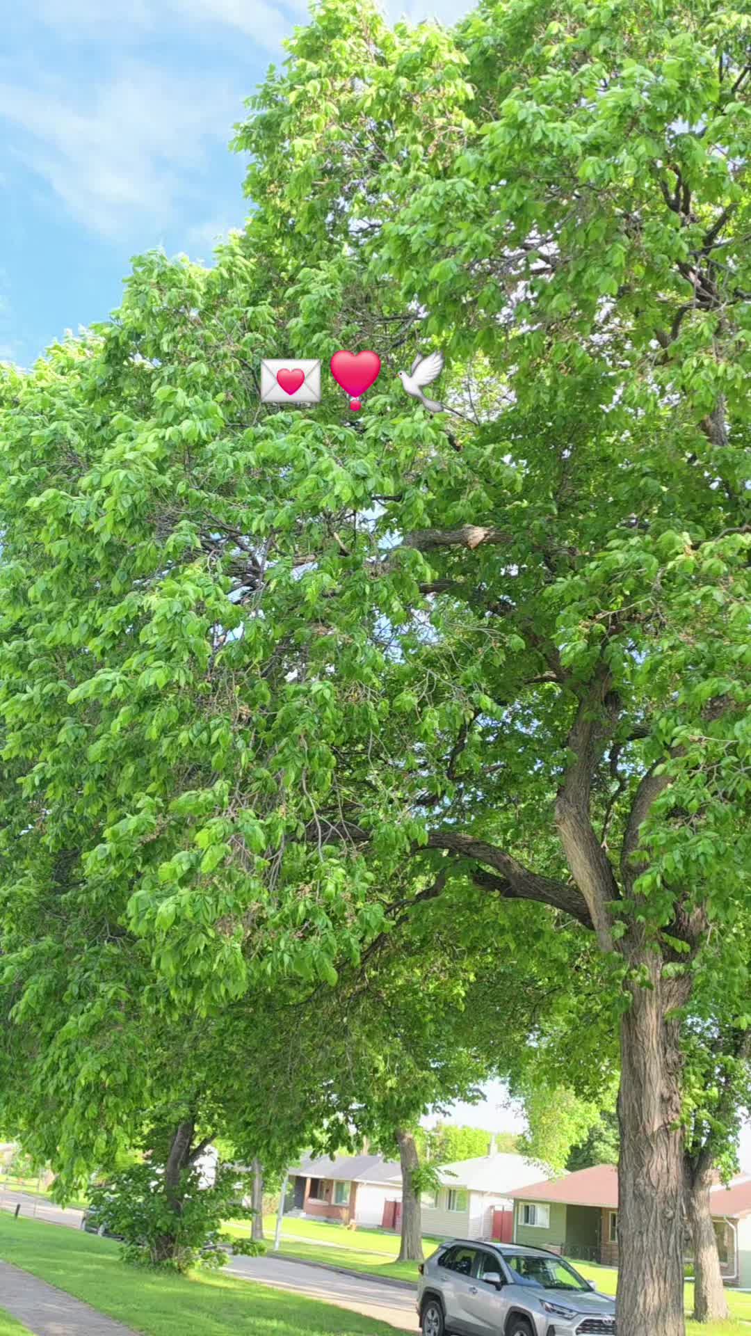 @Curiousmind