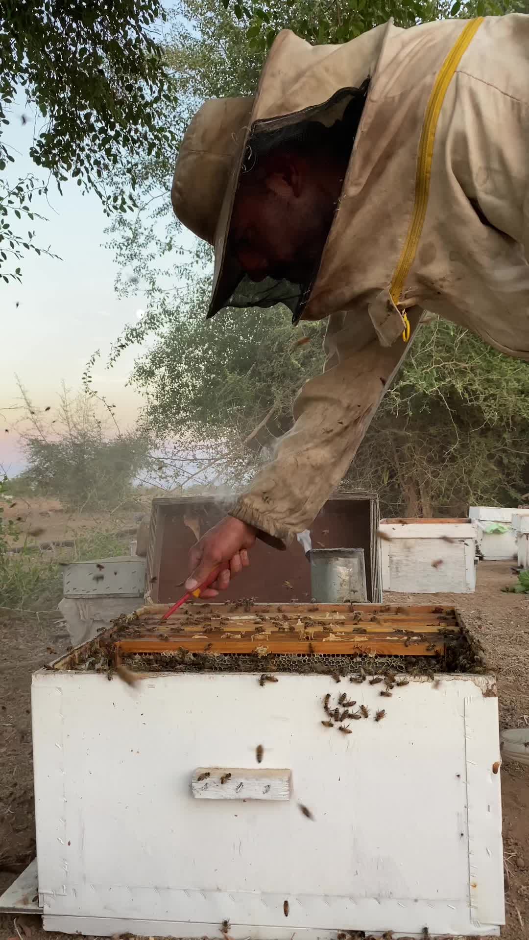 @مناحل عبد الرحمن للعسل