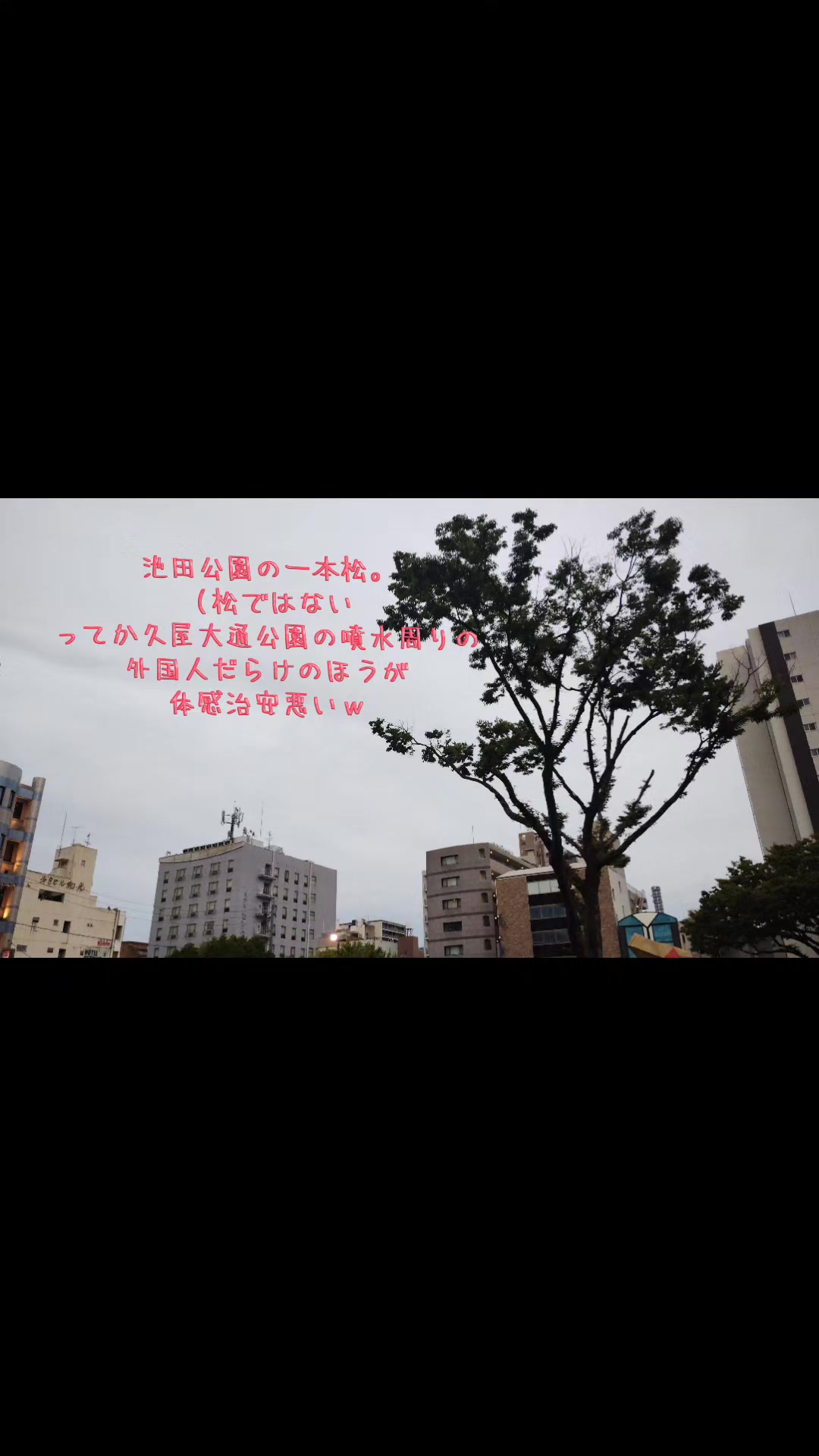 @ペーパートレーダー