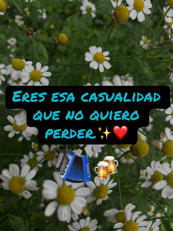 @🔊✨ALEJANDRA VALLENATO🪗🎶