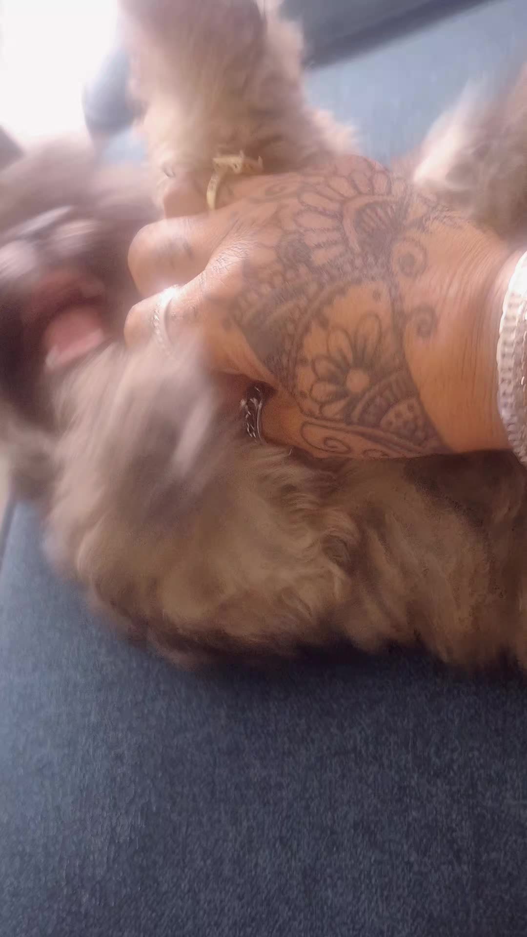 @LauraChiquisHill