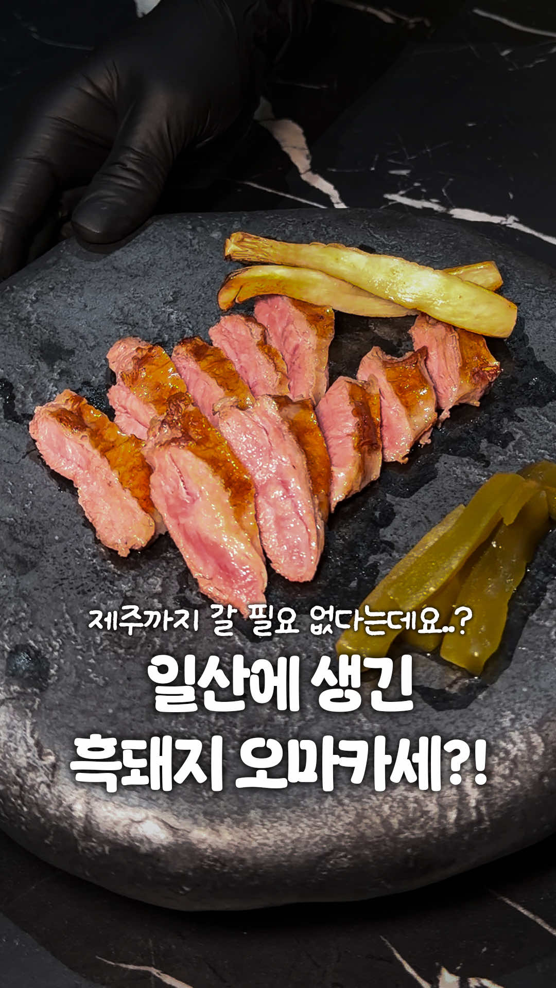 @일산갈고양