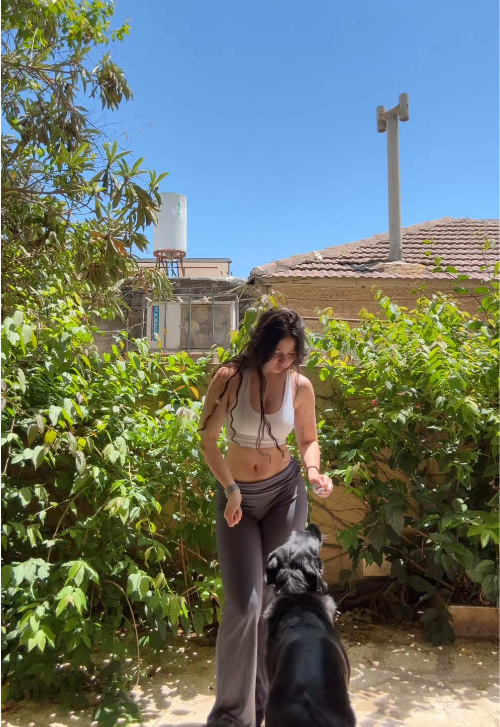 @rakefet