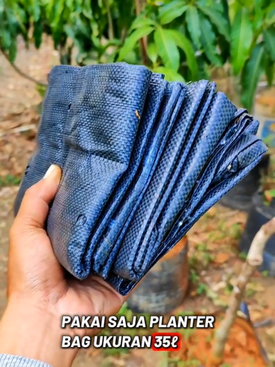 @GardeningFruits