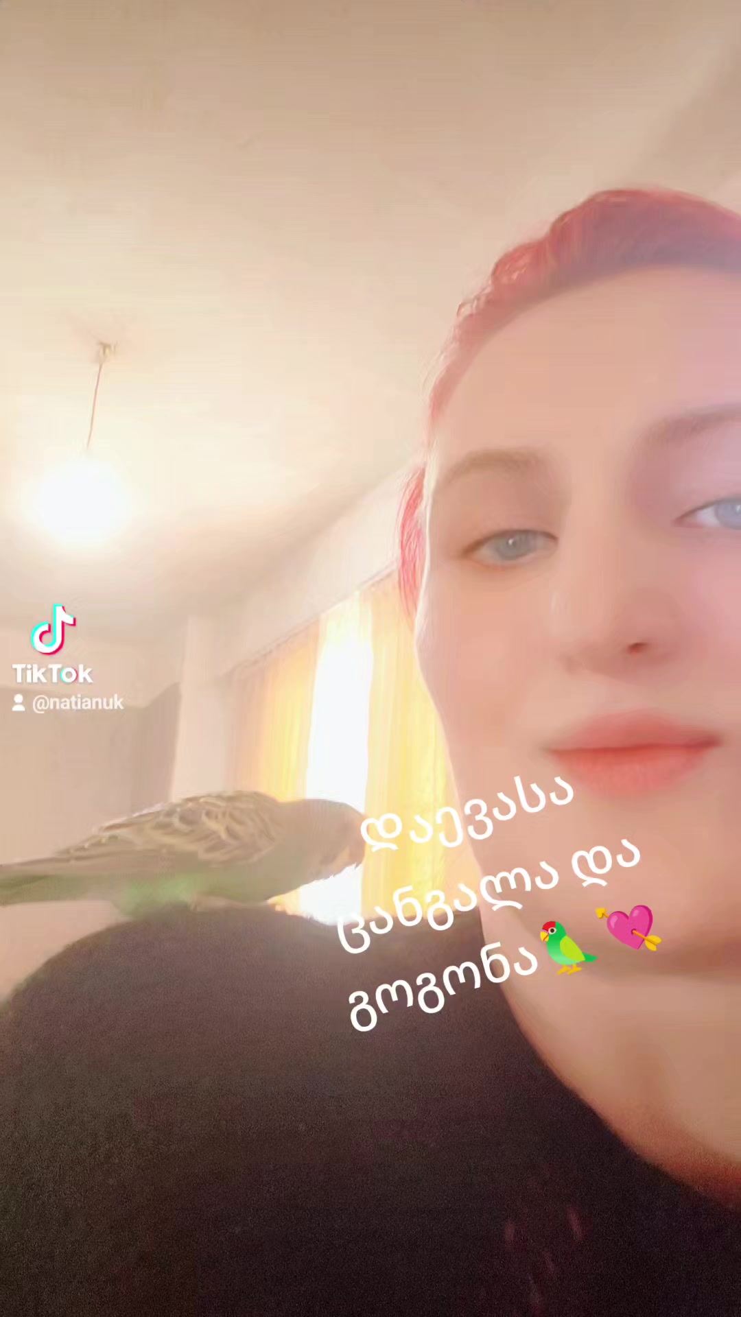 @🐞ნ10ა🐞