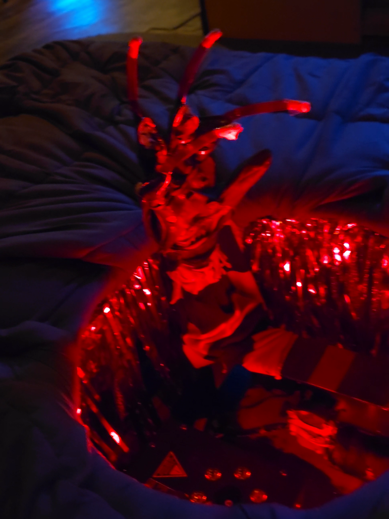 @𝘼𝙕 𝘾𝙤𝙡𝙡𝙚𝙘𝙩𝙤𝙧