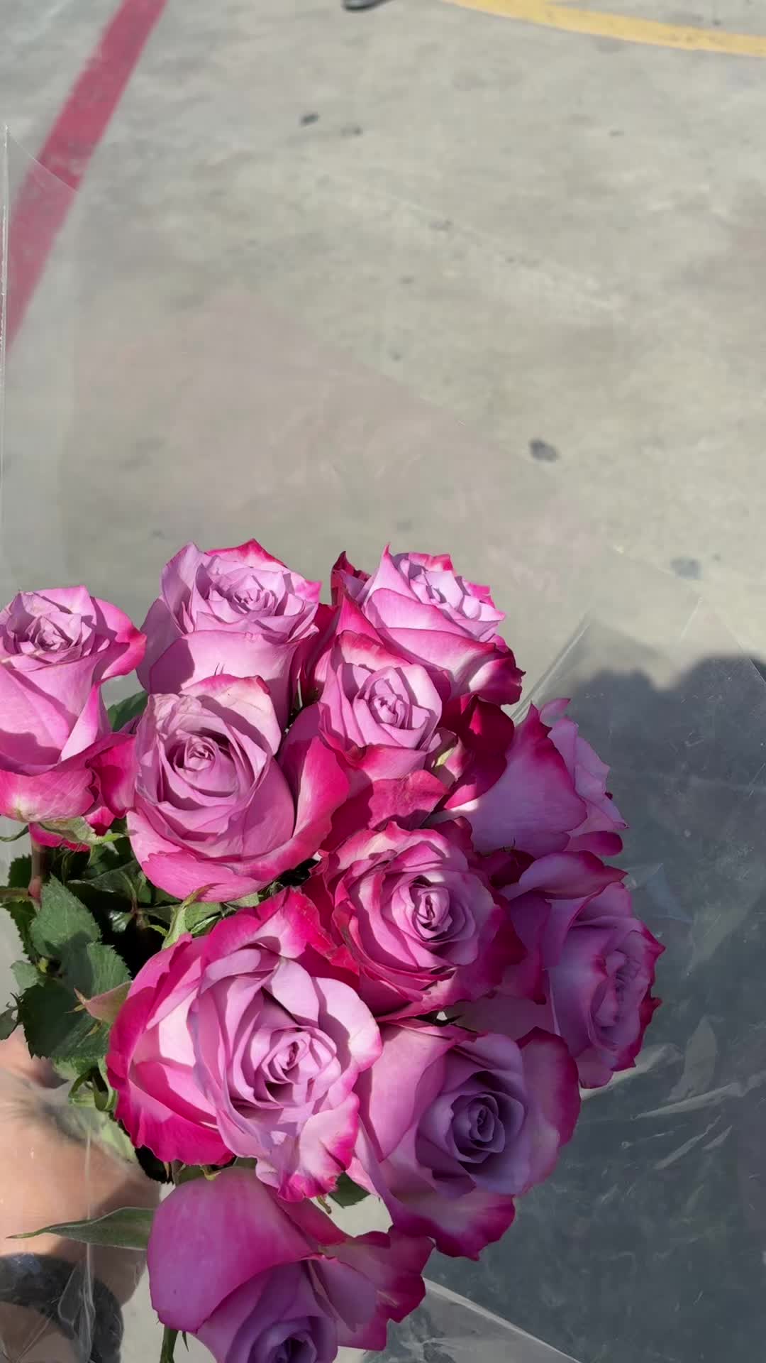 @tahaimii