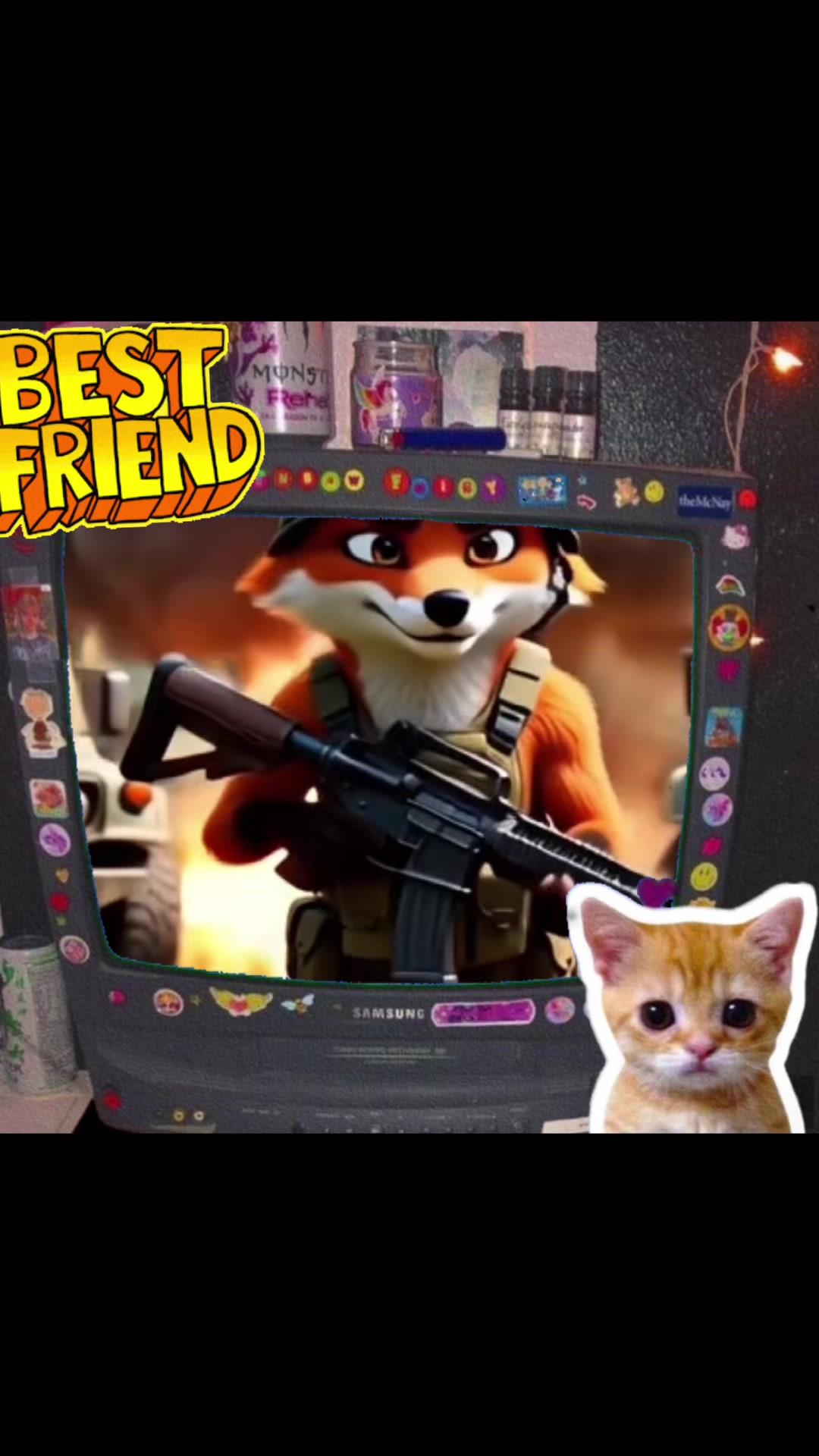 @el_señor_de_los_gatos