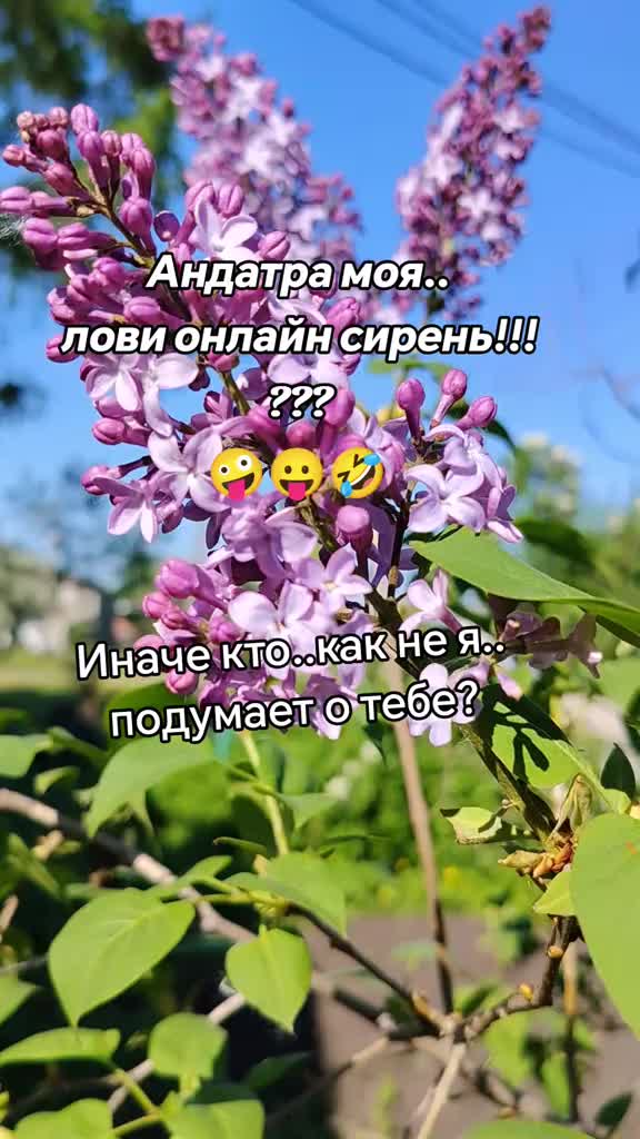 @👑ОЛЕНЬК@👑