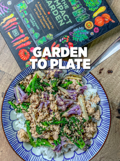 @Planted in the Garden