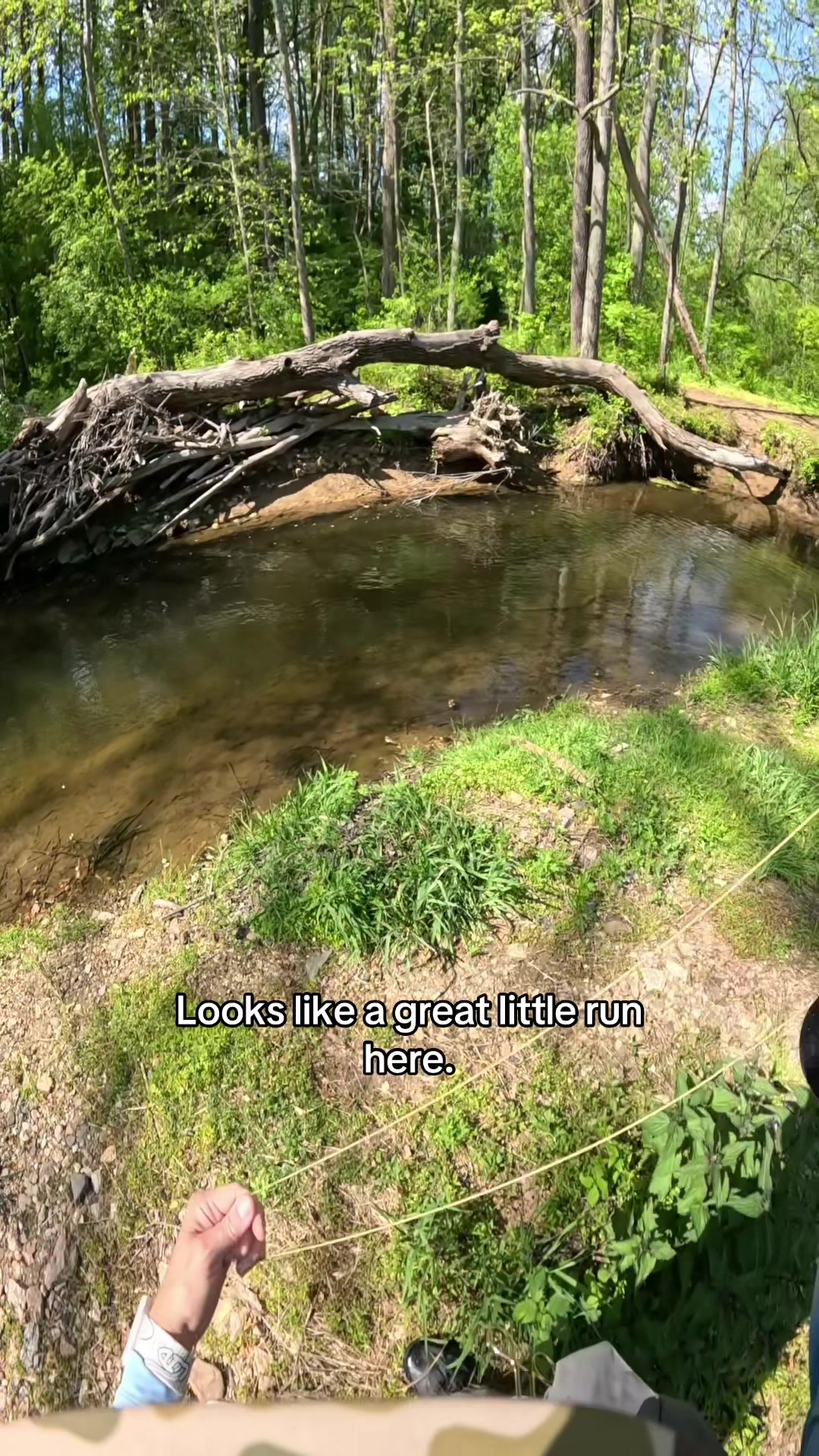 @FlyFishDelawhere