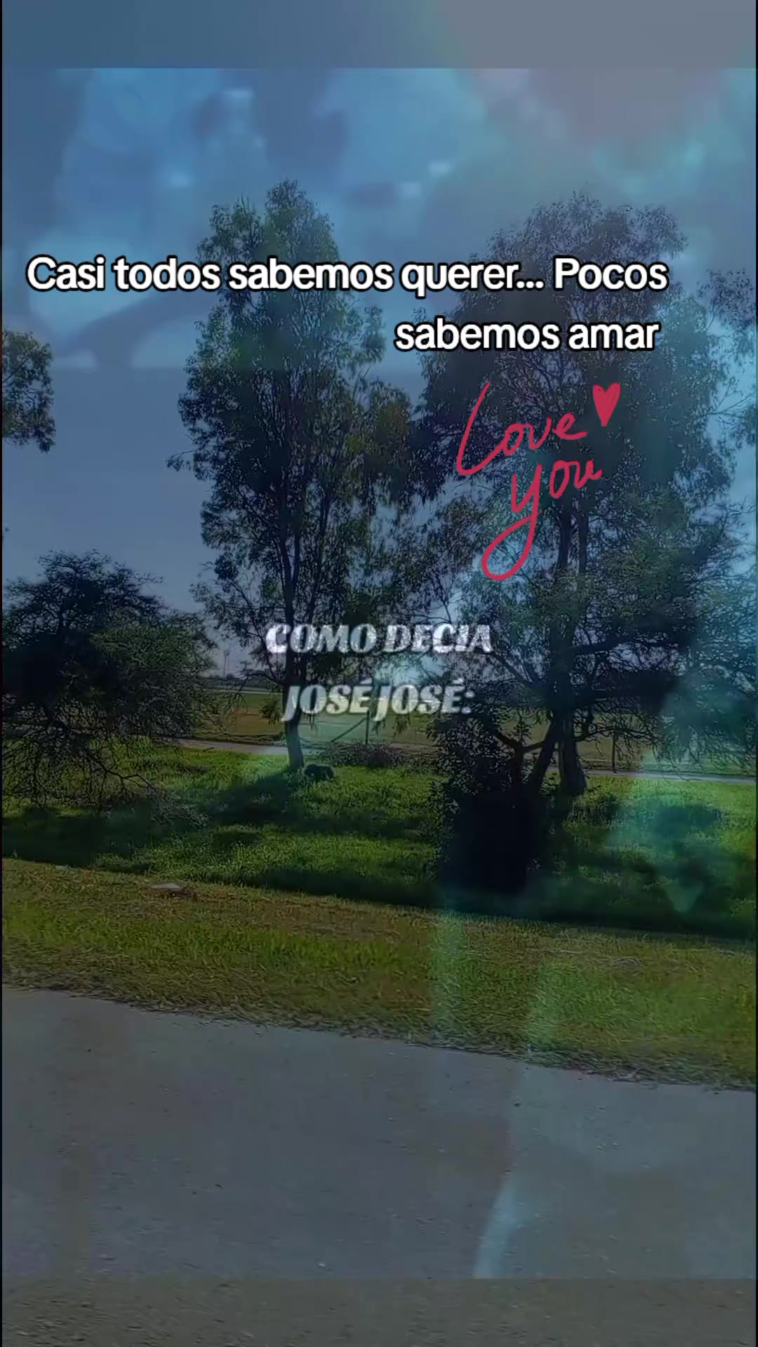 @ysabel