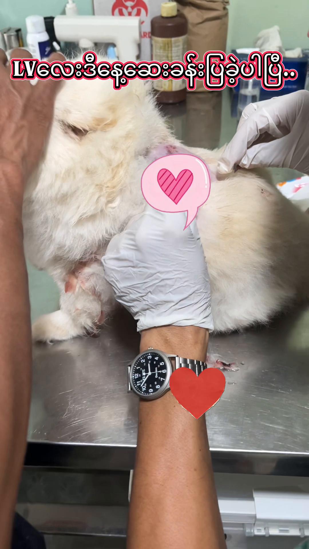 @MomOfPearlDora💝