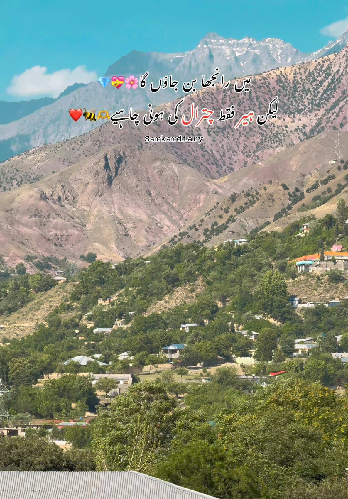 @🦋س ر ک ا ر 🦋