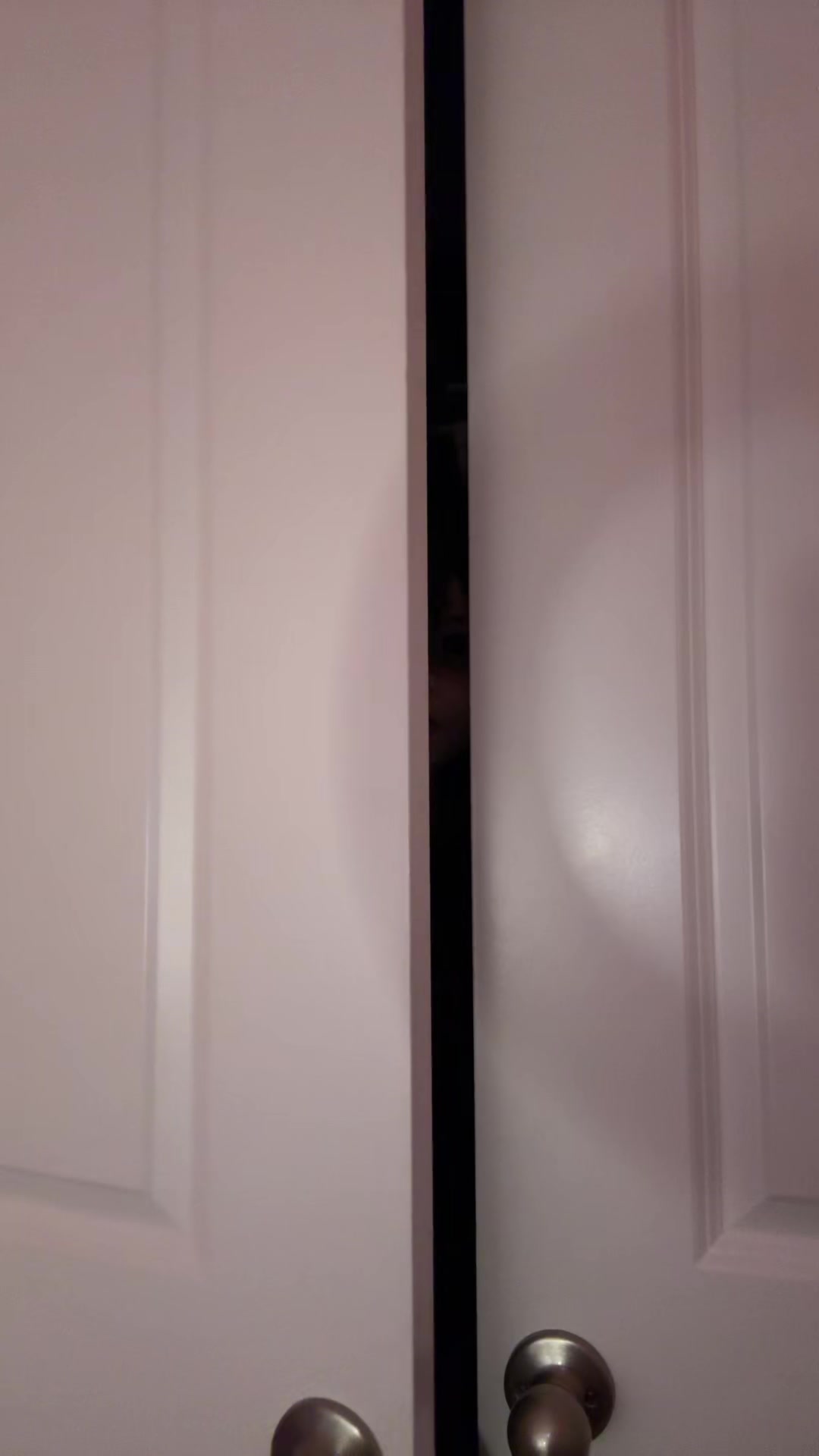 @calcalicious