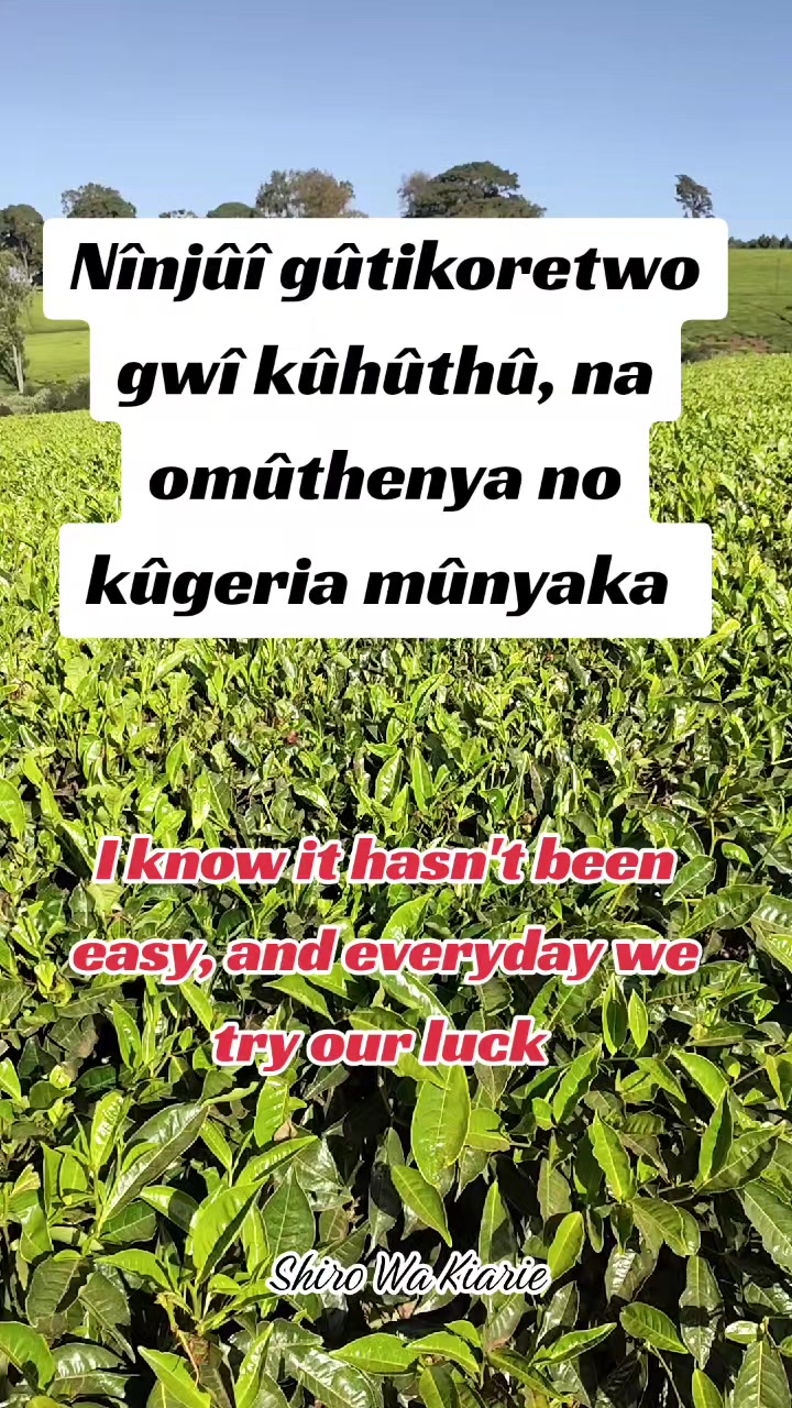 @Shiro Wa Kiarie