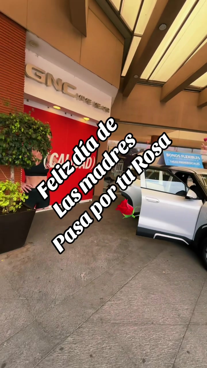 @El Rey de BYD