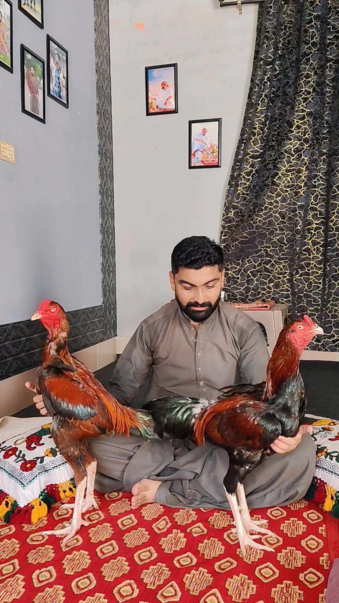@Ahmad Bhatti
