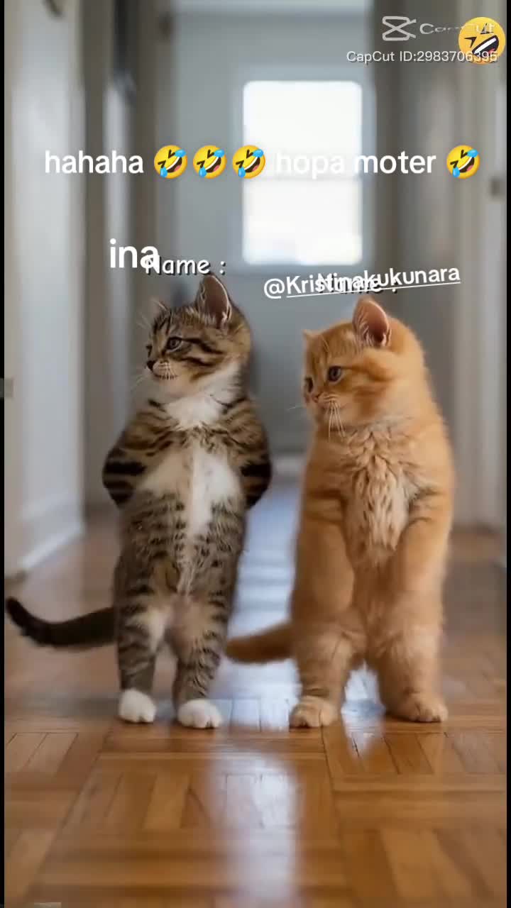 @ina.ina.3
