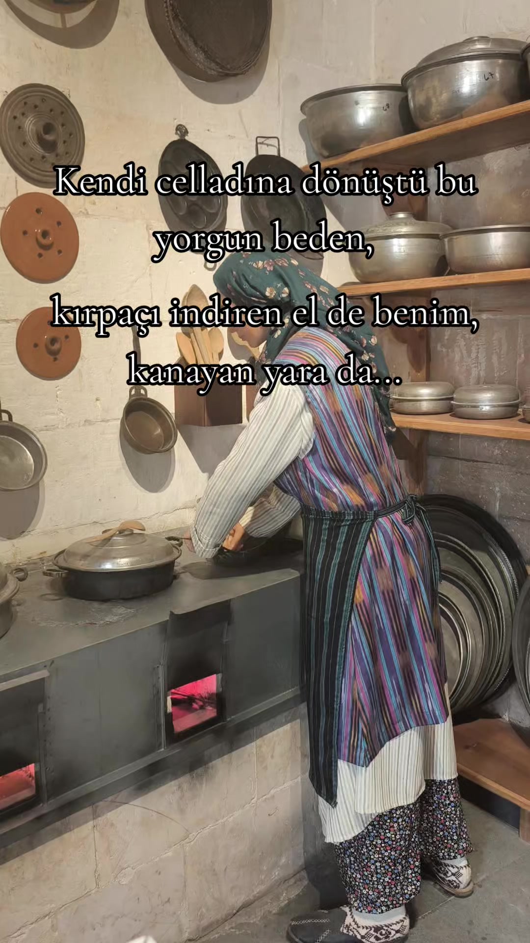 @ミ★ NeÇE🍁 ZOZAN ★彡