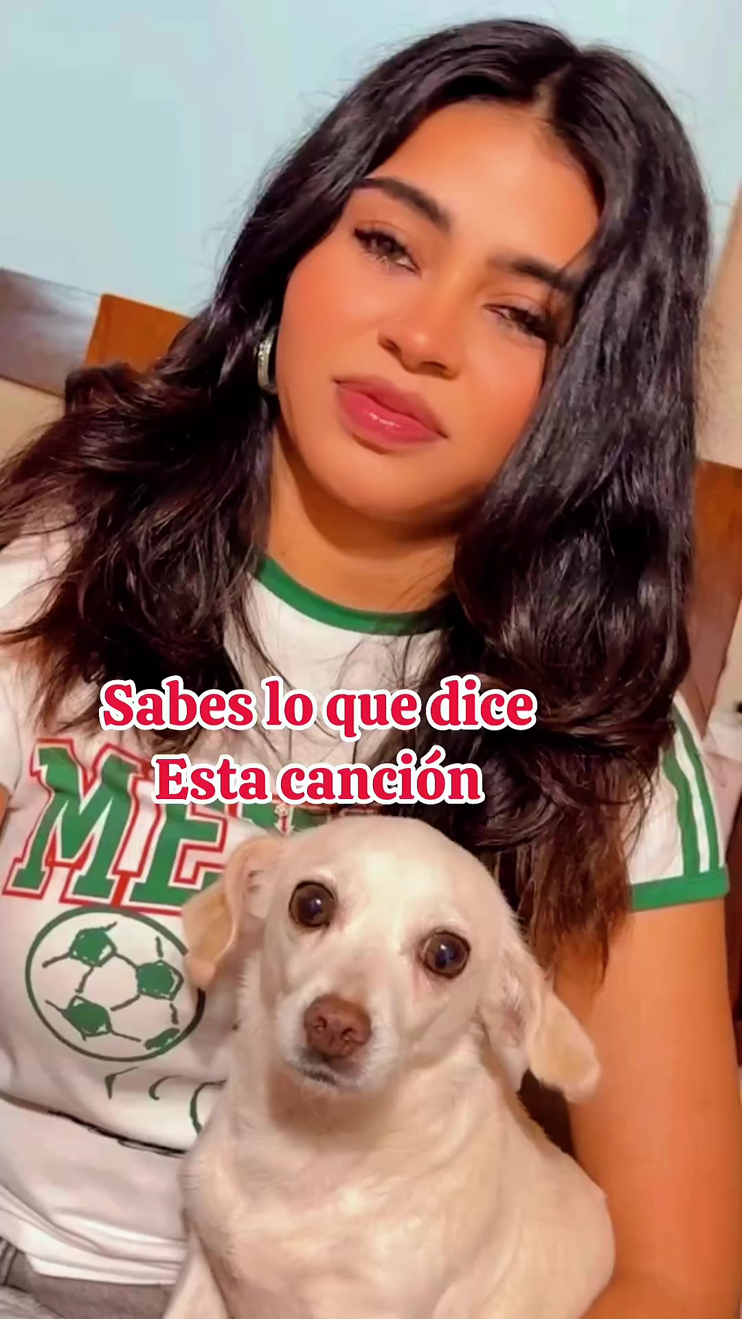 @sofialopezviolinist