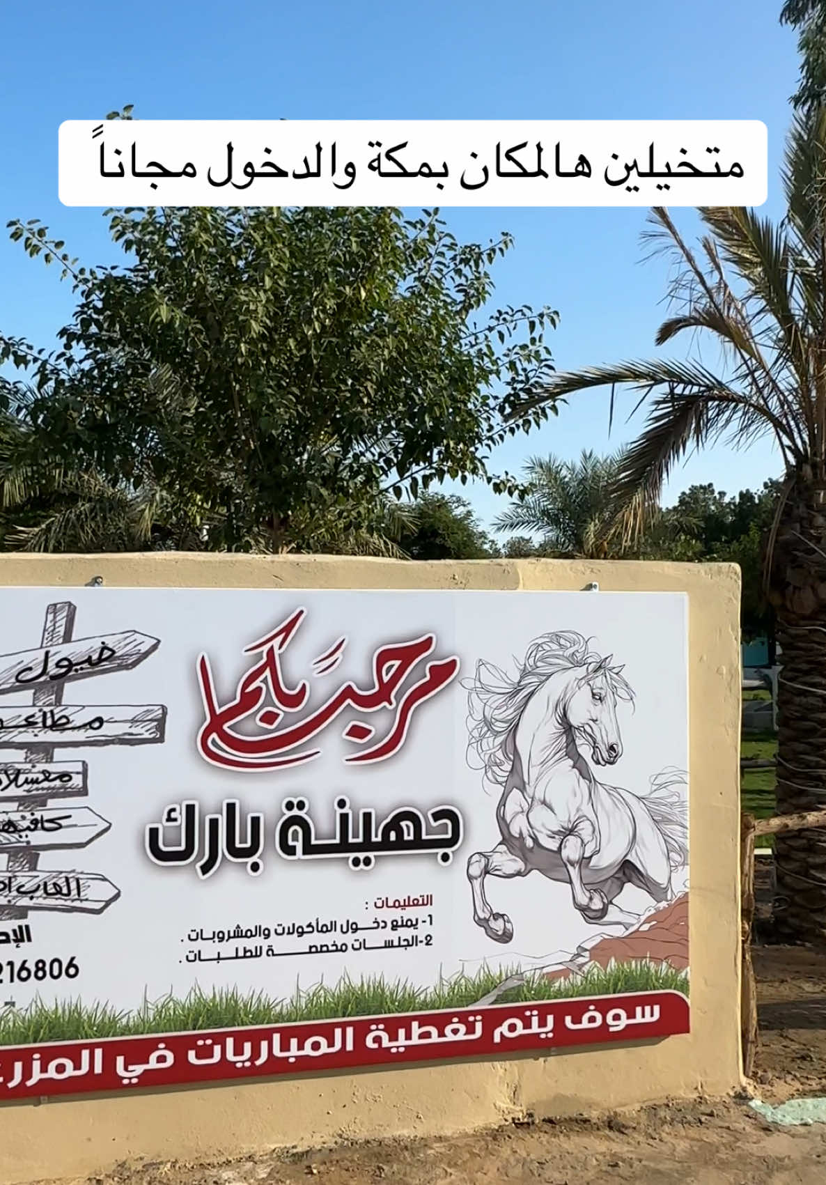 @أميرة الزهراني..موثوق